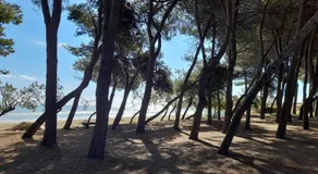 Il garusolo - Image 4