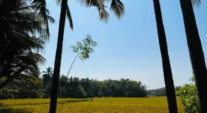 Namasthe Inn Ac, Ottapalam-Palakkad Highway, Lakkidi - Image 3