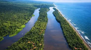 Ilan Ilan Tortuguero - Image 2