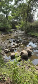 BY THE RIVER - Image 5
