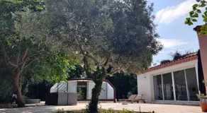 Villa Muscat, piscine chauffée - Image 5