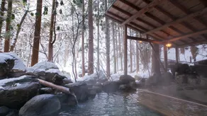 Tsuchiyu Bettei Satonoyu - Image 5