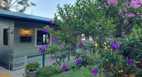 Couples Accessible Cabin, Zarina Country Cabins, 6 - Image 5
