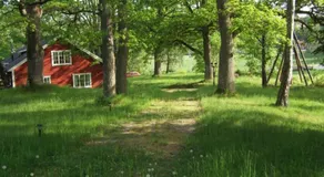 Rönninge Gård - Image 5