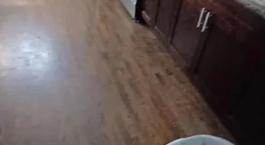 willoughby inn - Image 4