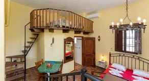 Tiny house 12m2 "ANTON PIECK" in holiday park with 55 m2 pool - Image 5