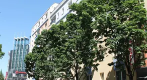 Hotel Kiez Pension Berlin - Image 2