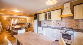Villa Dino i Karla, a spacious and beautiful Villa in a calm village - Image 2