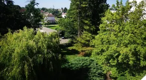 P' TI ECRIN DE VERDURE - Image 4