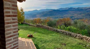 La Cirujana de Gredos - Image 3