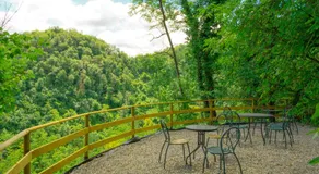 B&B La finestra sul bosco - Image 4