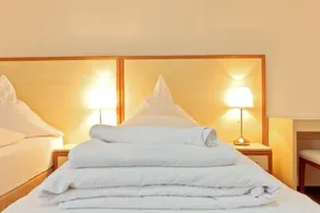 Hotel Ganita Weil am Rhein - Image 5