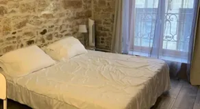 Studio with exposed stone Vieux Lyon - Image 4