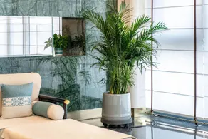 SSE. Future International  Hotel - Image 4