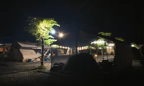Campground full of stars - Image 4