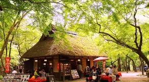 Guesthouse Nara Komachi - Image 3