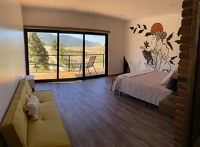 Palta 60 Valle de Guadalupe - Image 2