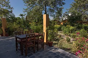 Island Jungle Resort - Image 2