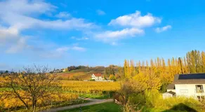 Weingut Mathis Apartment 1 Burgblick - Image 5