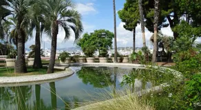 Palm beach Cannes Azur - Image 2
