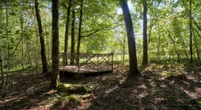 L'Envol - Oasis Ressource - Image 5