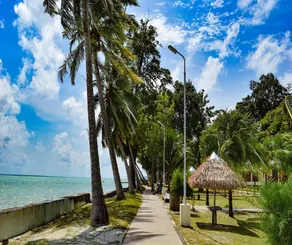 DOLPHIN BEACH RESORT - Image 5