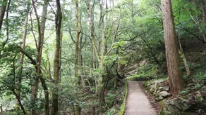Kawamoto Ryokan - Image 3