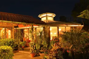 Mohans Binsar Retreat - Image 5