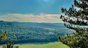 Chambre hotes avec vue panoramique sur la foret - Image 3