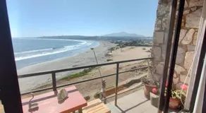 Pingüino en la roca - Concón - Image 3