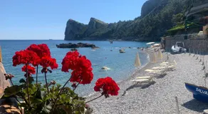 L'Angolo di Felicia - Image 2