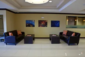 Holiday Inn Express Hotel & Suites Lansing-Dimondale by IHG - Image 3