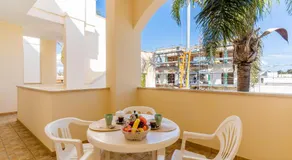 Bon Palm - Salento Selection - Image 4