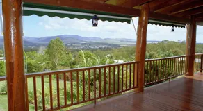 Atherton Blue Gum  - Image 5
