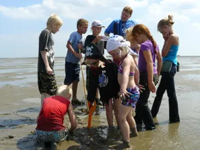 Chalet au bord de la Mer des Wadden avec Jardin - Image 5