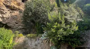 Le jardin de Camille - Image 5