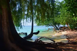 Paradise Lost Bungalows - Image 5