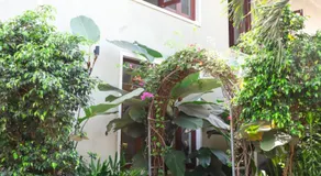 Premium 3BHK Pool Villa Near Calangute for Families & Groups - Image 5