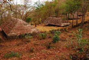 K Gudi Wilderness Camp-Jungle Lodges - Image 4
