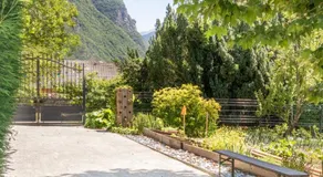 le clos grillet - Image 5