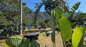 Adrasan Camping - Image 3