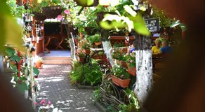 Carul cu Flori - Image 4