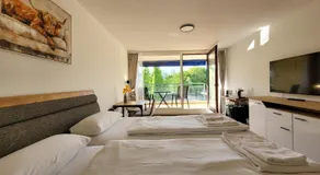Helles Zimmer mit Balkon und Blick in den Kurpark - Image 2
