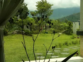 Slow Fly B & B - Image 5