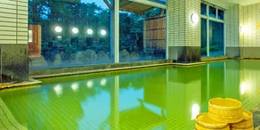Oga Seiko Grand Hotel - Image 3