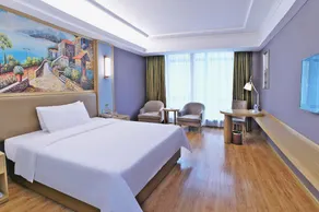 Vienna Hotel (Luchuan High-speed Railway Station) - Image 4