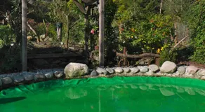 Pension Aloisia - Image 4
