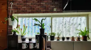 Kirisame Magic Shop霧雨魔法店民泊伊勢市 - Image 3