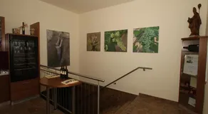 Arkadenweingut-Gästehaus Heiss - Image 4