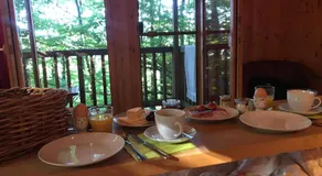 Baumhaushotel Solling - Image 3